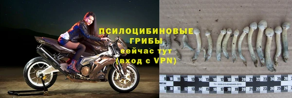 гашик Саяногорск
