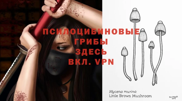 эйфоретик Михайловка