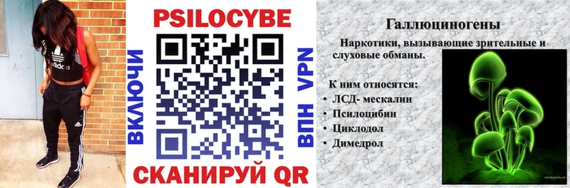 Псилоцибиновые грибы Cubensis  KRAKEN ССЫЛКА  дарк нет Telegram  Яхрома 